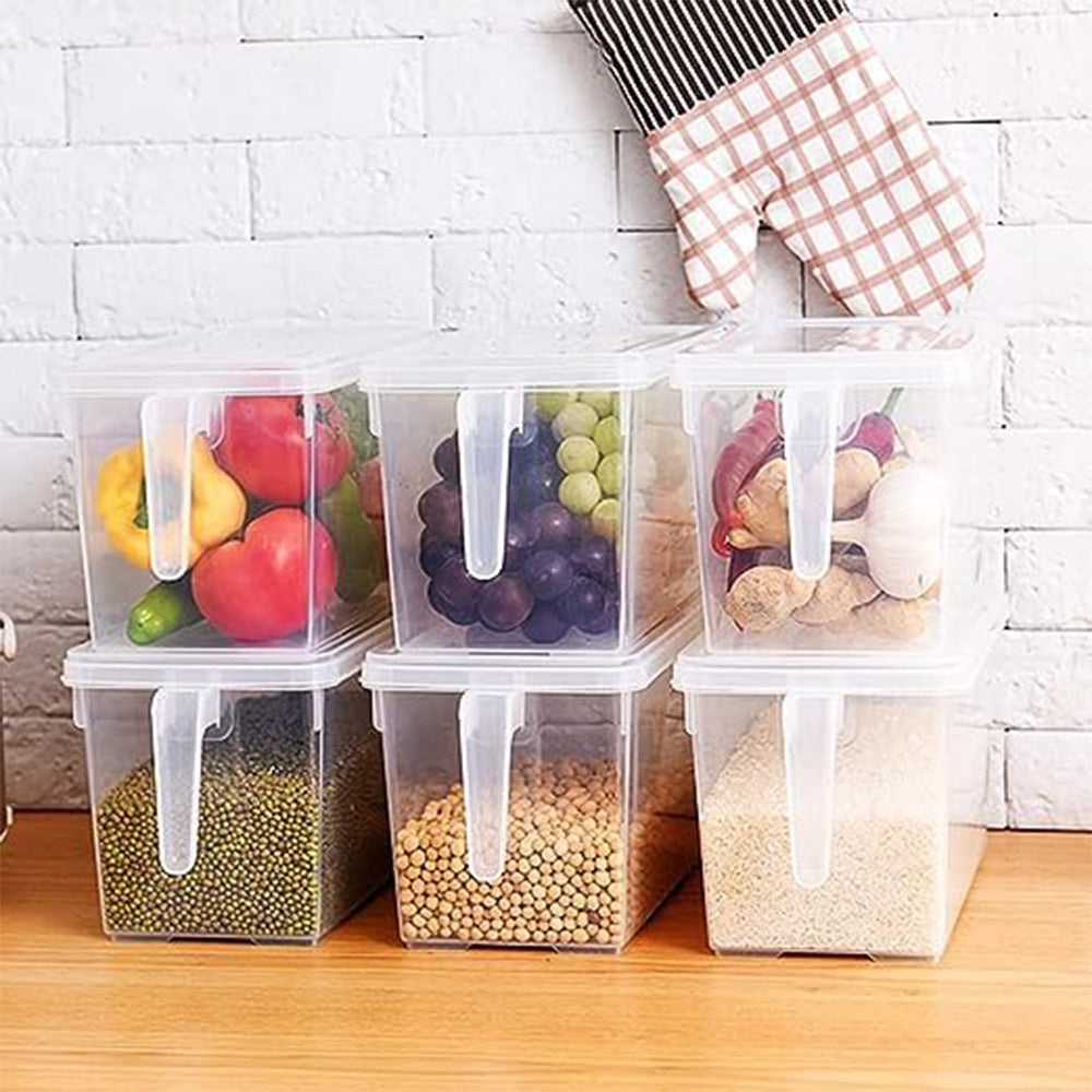 Fridge Storage Container (Pack of 1) | Transparent Organizer with Handle, Lid & 3 Bins |