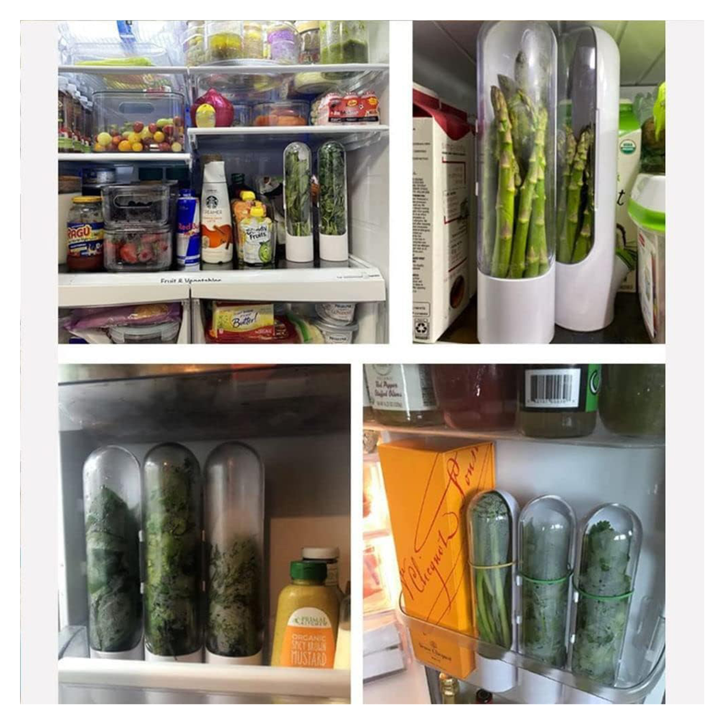 Herb Saver Pod โ BPA-Free Fresh Herb Keeper & Fridge Storage Container (White Transparent, 250 mL)